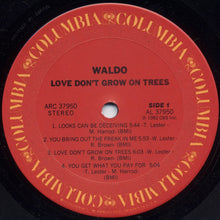 Waldo: Love Don't Grow On Trees 12"