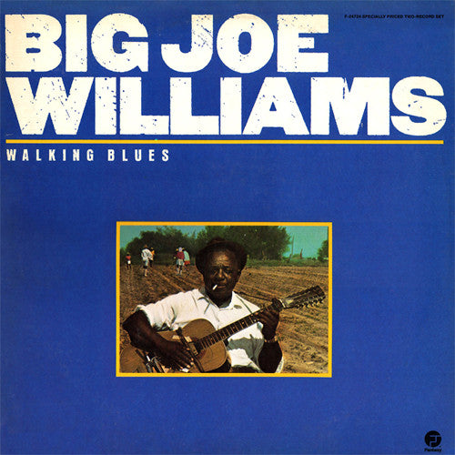 Big Joe Williams: Walking Blues 2x12