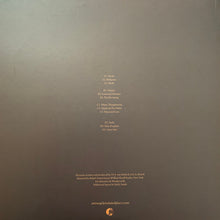 Wanderwelle: A State Of Decrepitude 2x12"