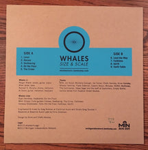 Whales: Size & Scale 12"