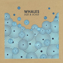 Whales: Size & Scale 12"