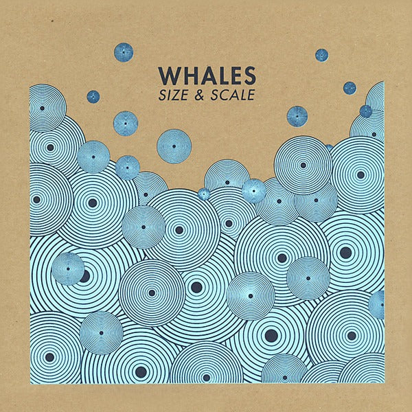 Whales: Size & Scale 12