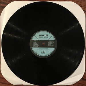 Whales: Size & Scale 12"