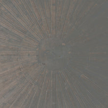 William Basinski & Lawrence English: Selva Oscura 12"