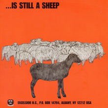 Y: A Black Sheep... Is Still A Sheep 7"