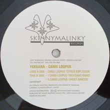 Yekuana: Canis Loopus 12"