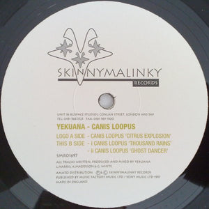 Yekuana: Canis Loopus 12"