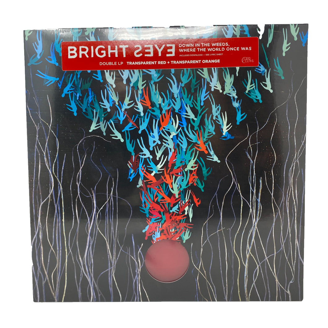 Bright Eyes: Down in the Weeds 12