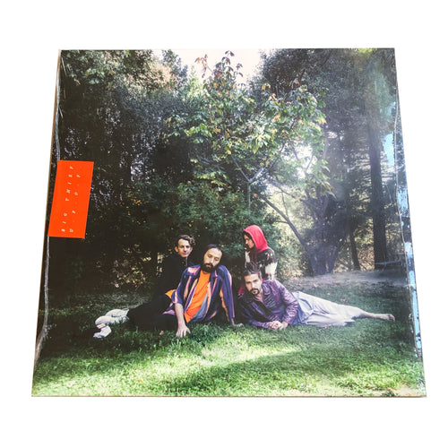 Big Thief: U.F.O.F. 12