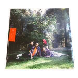 Big Thief: U.F.O.F. 12"