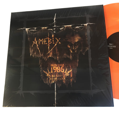 Amebix: Slovenia 86 12