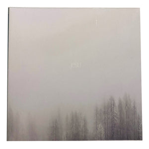 Jesu: Terminus 12"