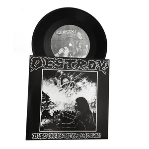 Destroy: Burn this Racist System Down 7" (new)