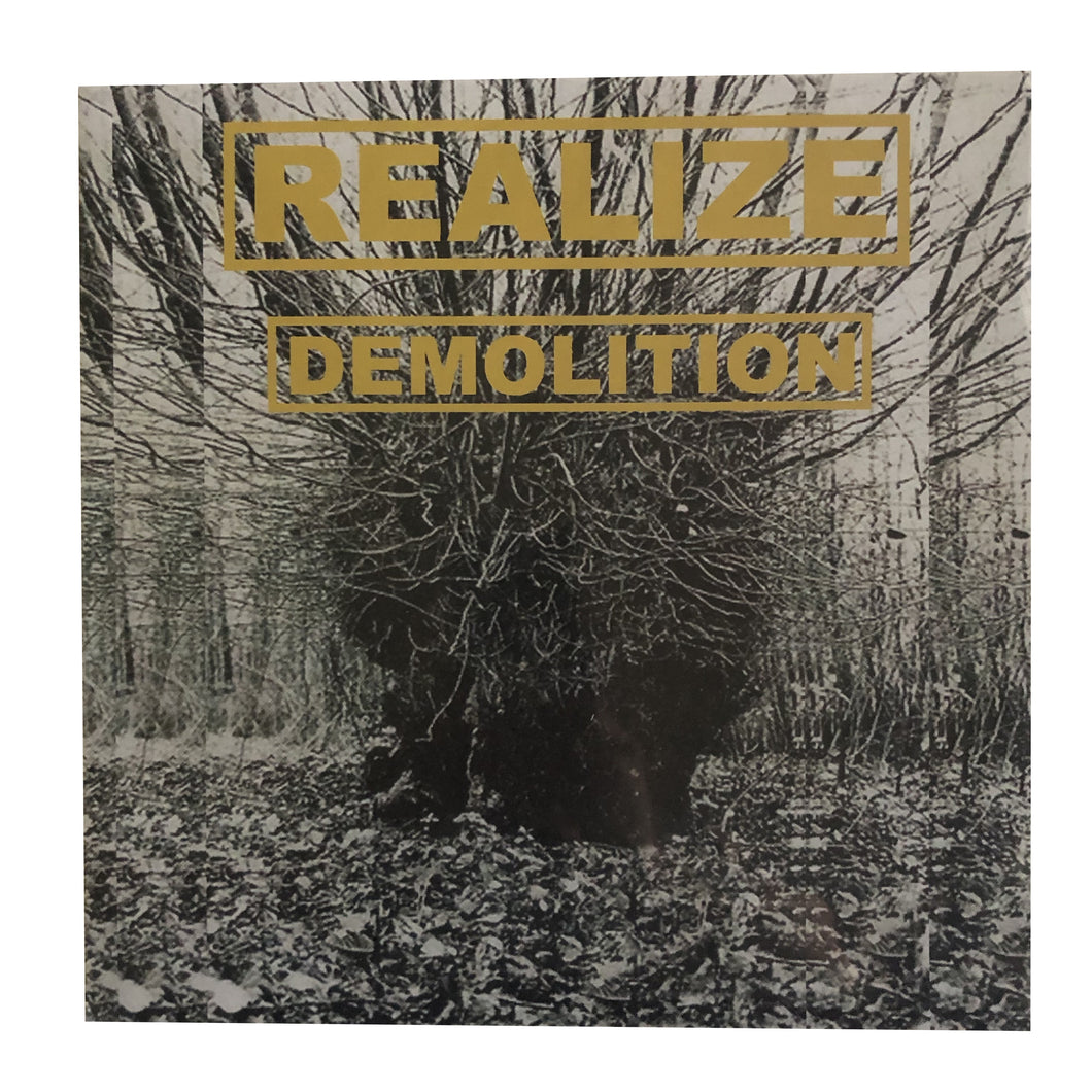 Realize: Demolition 12