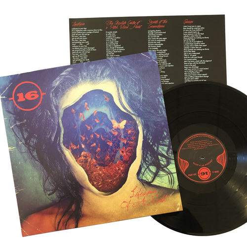 16: Lifespan of a Moth 12