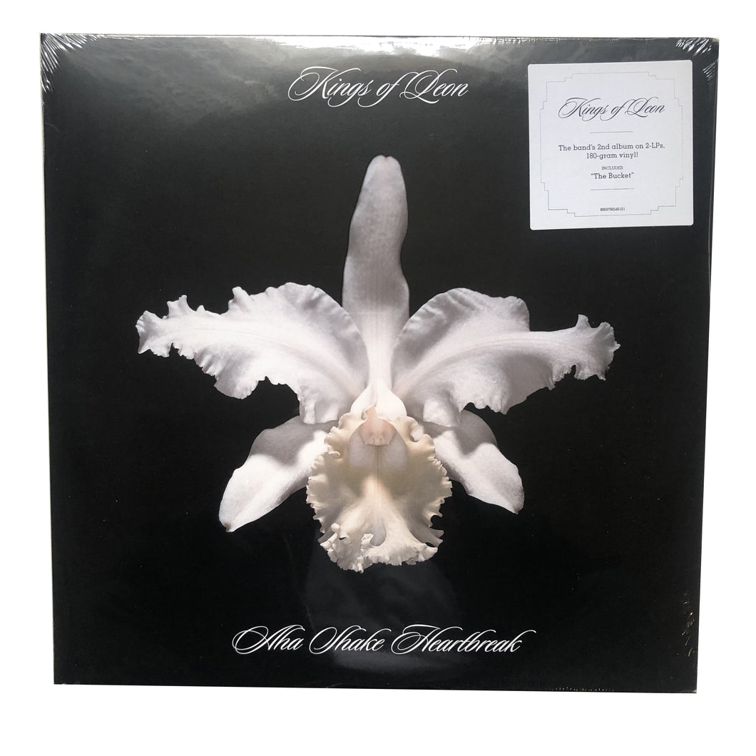 Kings of Leon: Aha Shake Heartbreak 12