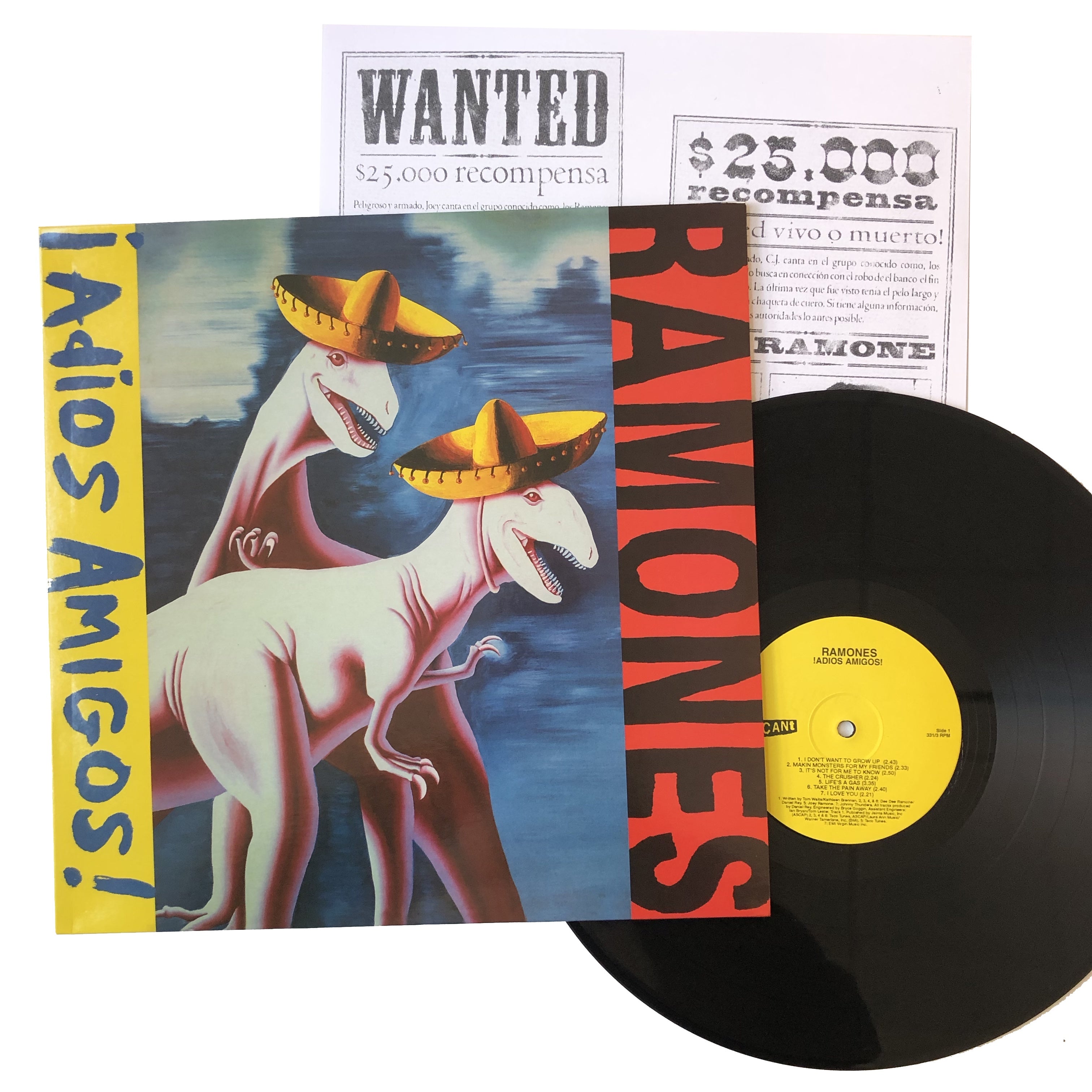 Ramones: Adios Amigos 12