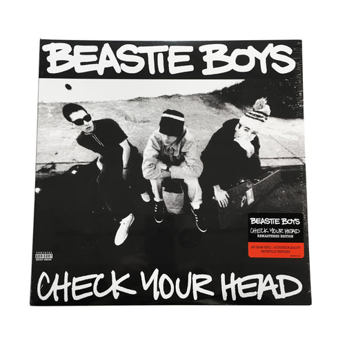 Beastie Boys: Check Your Head 12