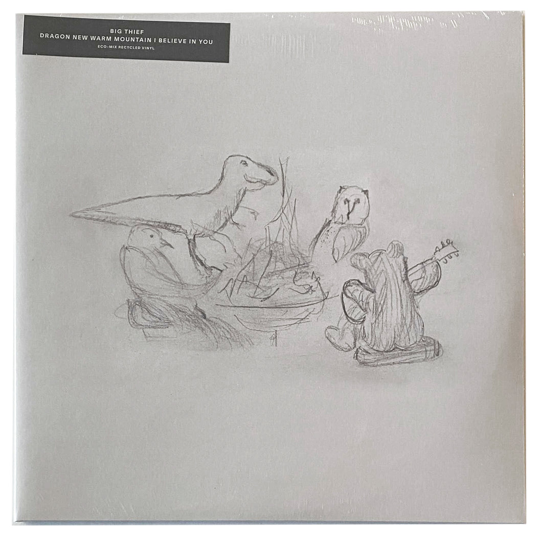 Big Thief: Dragon New Warm Mountain I Believe In You 12