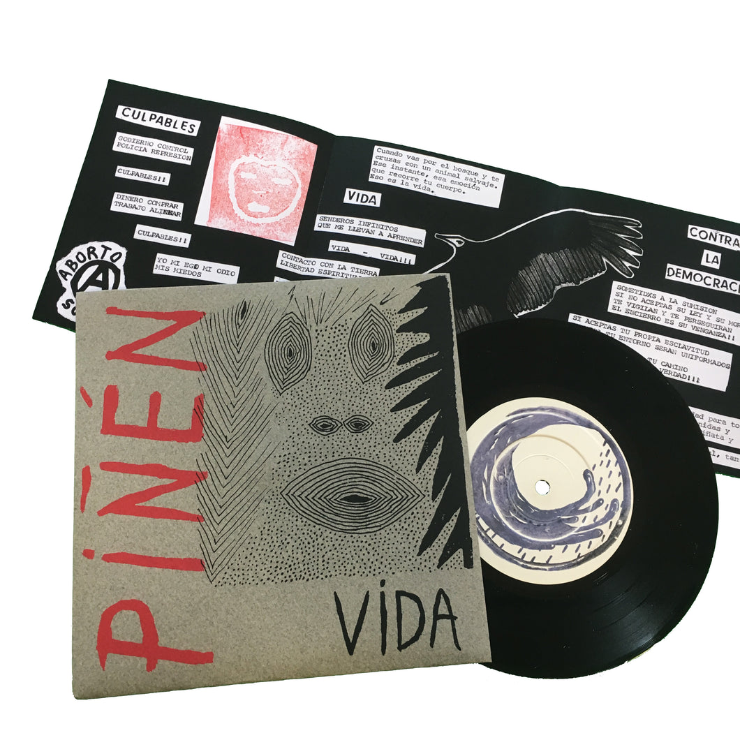 Pi√±√©n: Vida 7