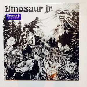 Dinosaur Jr: Dinosaur 12"