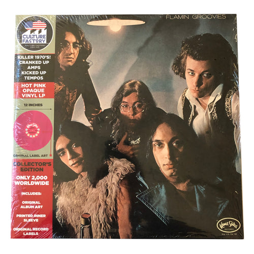 Flamin' Groovies: Flamingo 12