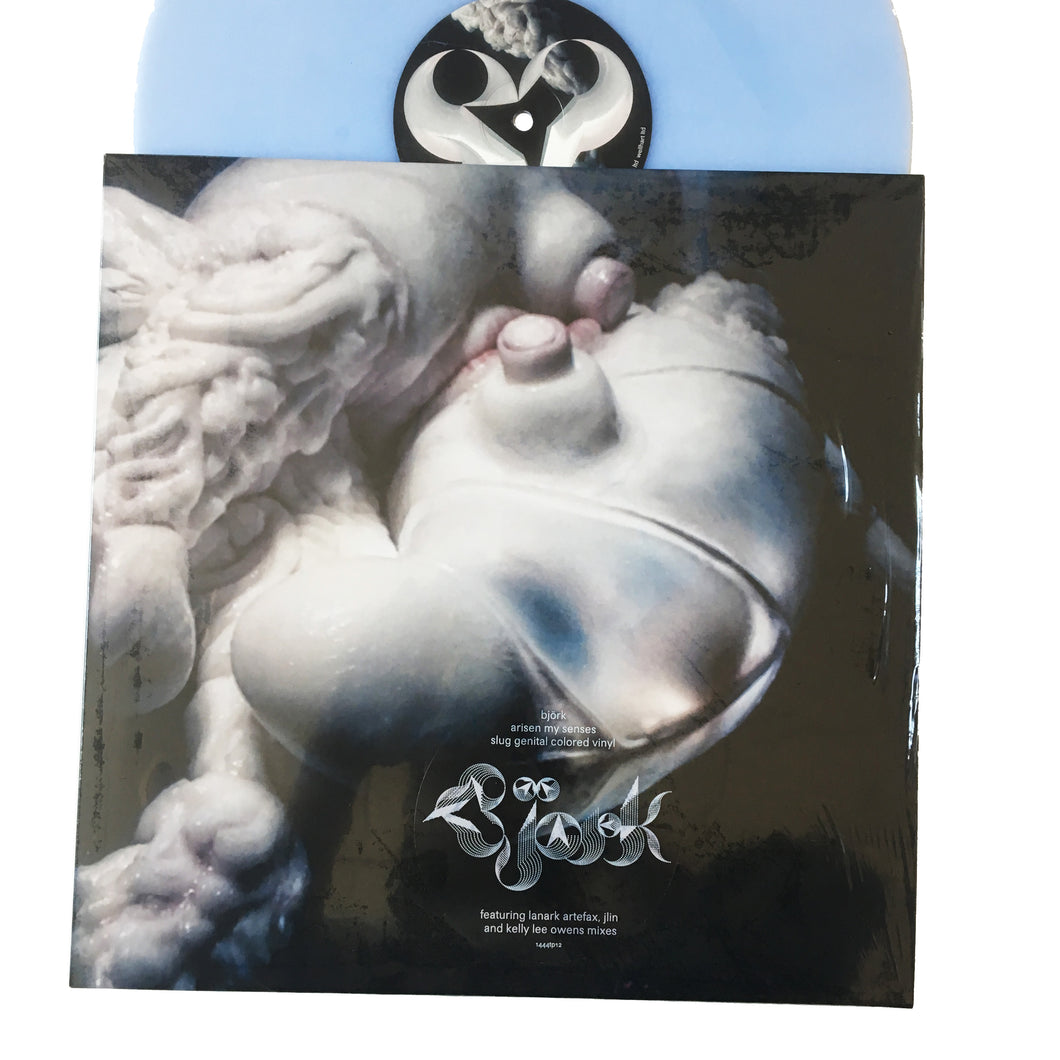 Bjork: Arisen My Senses 12
