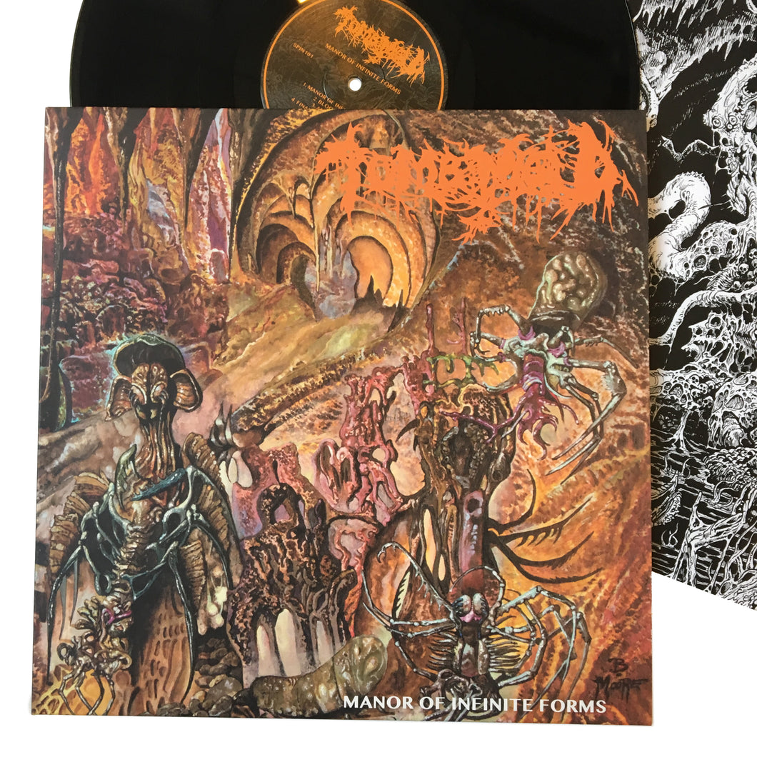 Tomb Mold: Manor of Infinite Forms 12