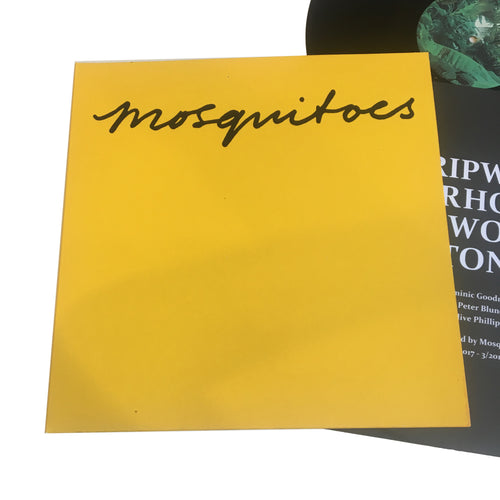 Mosquitoes: Drip Water Hollow Out Stone 12