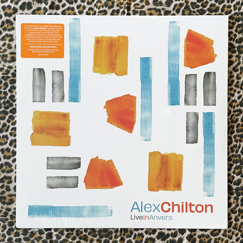 Alex Chilton: Live in Anvers 12