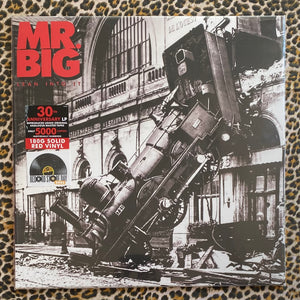 Mr. Big: Lean Into It 12" (Black Friday 2021)