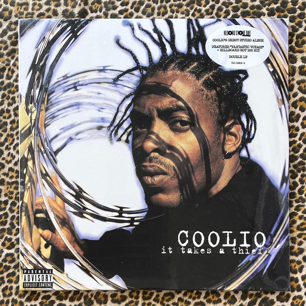 Coolio: It Takes A Thief 12