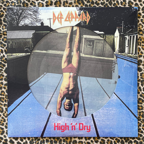 Def Leppard: High 'n' Dry 12
