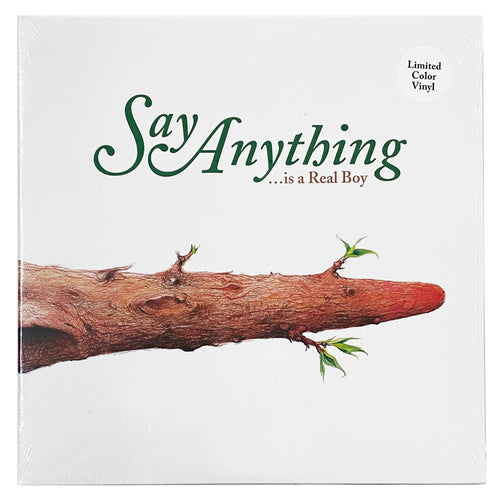 Say Anything: Is a Real Boy 12