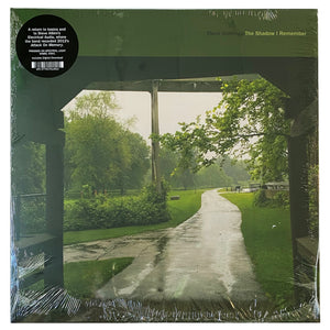 Cloud Nothings: The Shadow I Remember 12"