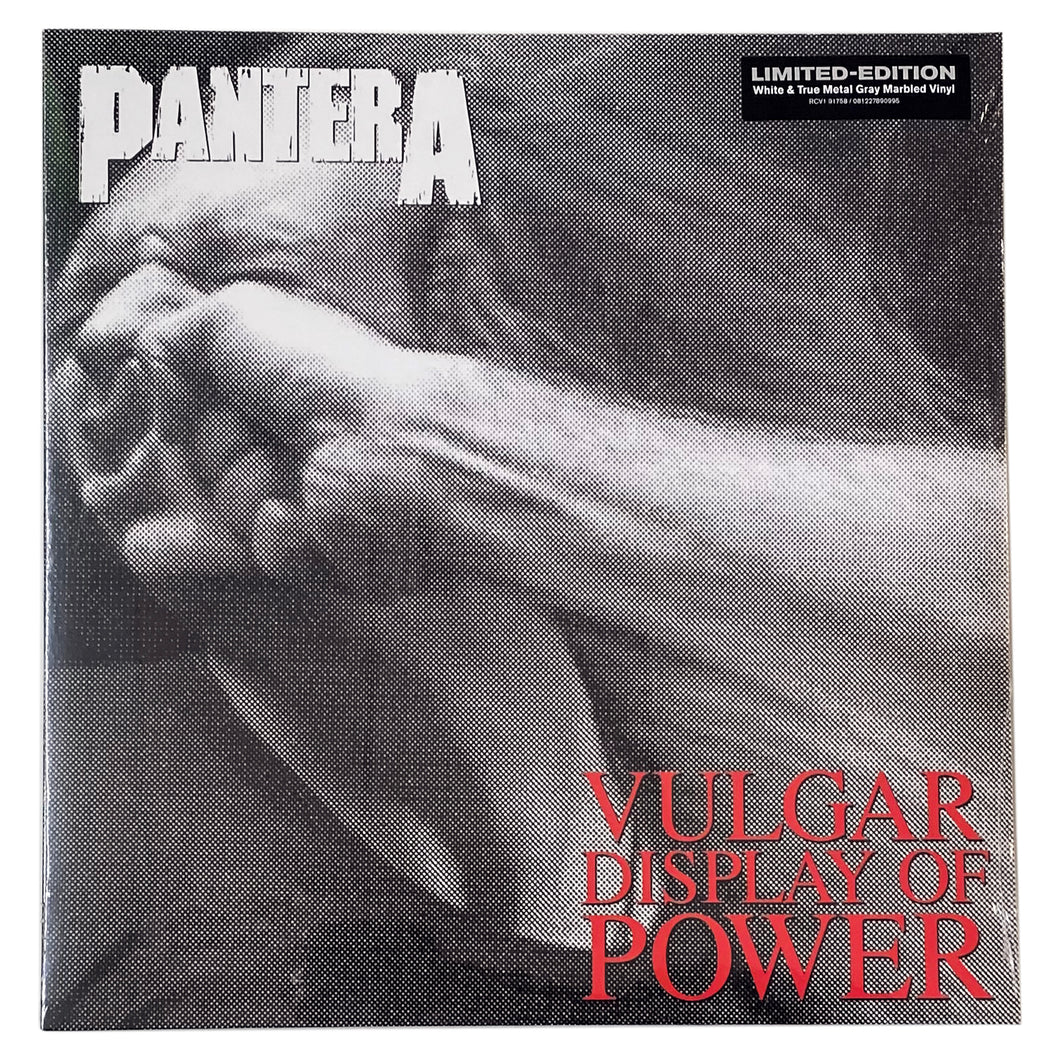 Pantera: Vulgar Display Of Power 12