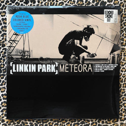 Linkin Park: Meteora 12