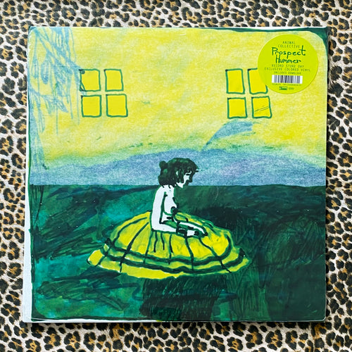 Animal Collective: Prospect Hummer 12