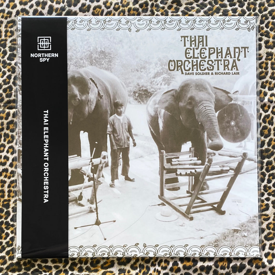 Thai Elephant Orchestra: S/T 12