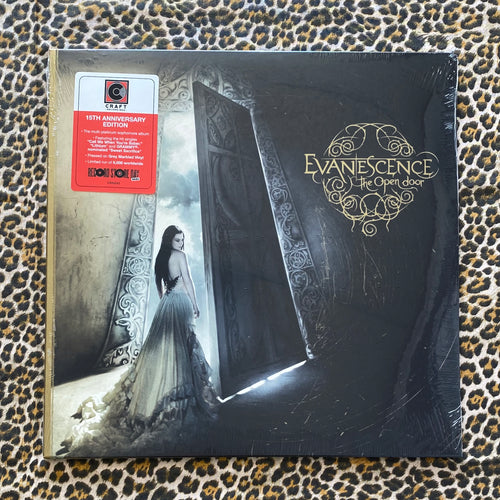 Evanescence: The Open Door 12