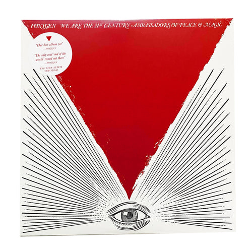 Foxygen: We Are The 21st Century Ambassadors Of Peace And Magic 12