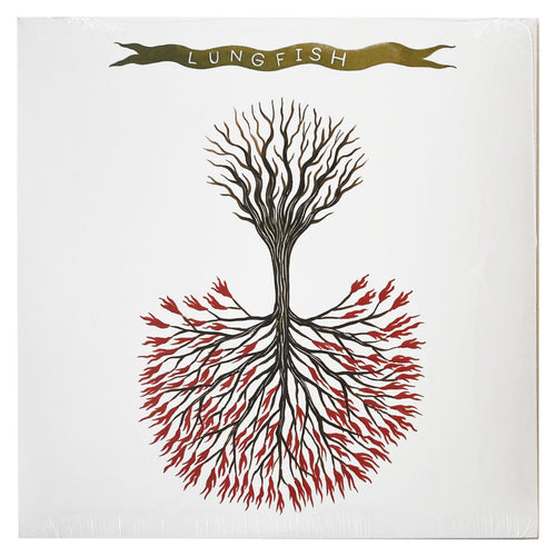 Lungfish: Love is Love 12