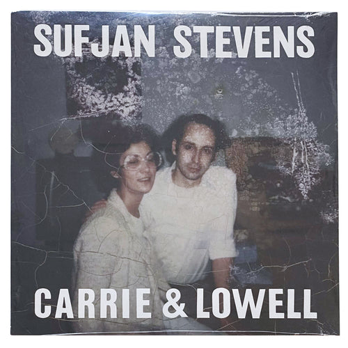 Sufjan Stevens: Carrie & Lowell 12