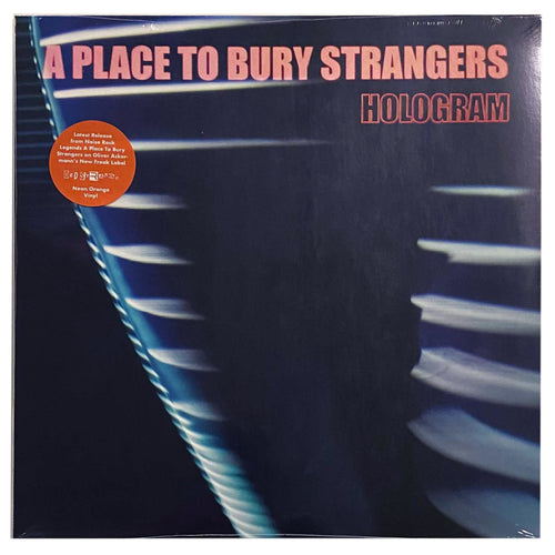 Place to Bury Strangers: Hologram 12
