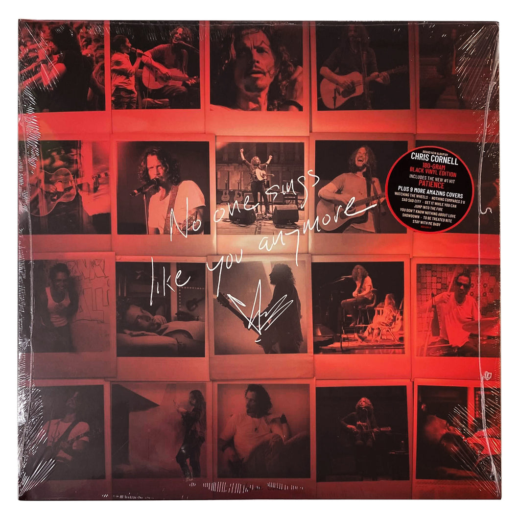 Chris Cornell: No One Sings Like You Anymore 12
