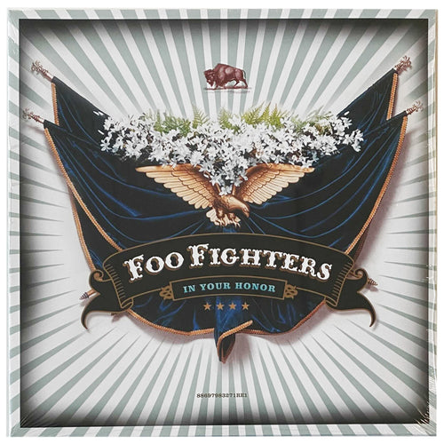 Foo Fighters: In Your Honor 12