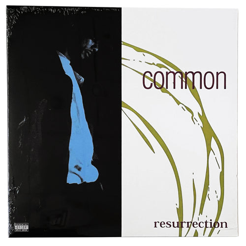 Common: Resurrection 12