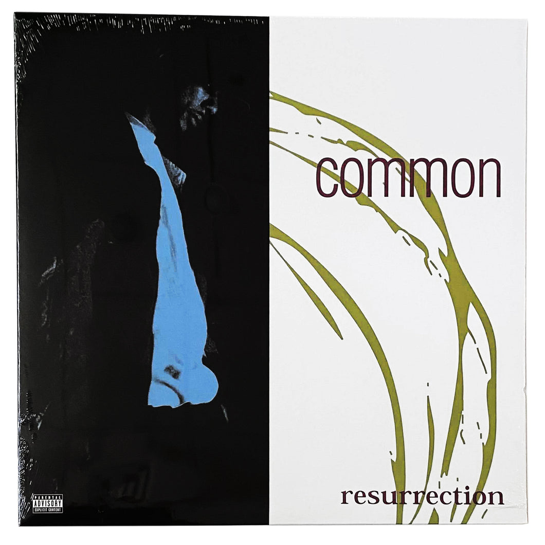 Common: Resurrection 12
