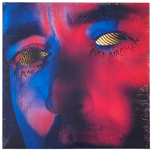 A Place to Bury Strangers: See Through You 12