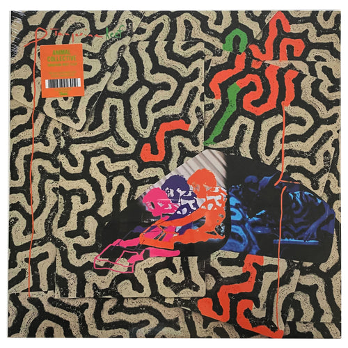 Animal Collective: Tangerine Reef 12